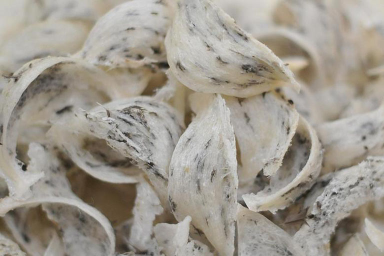 Tổ Yến Thô Là Gì? Công Dụng, Cách Làm Sạch, Địa Chỉ Mua Hàng